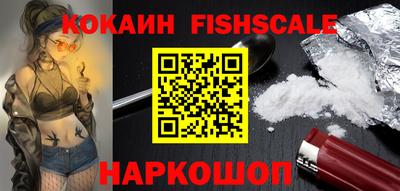 сатива Кингисепп
