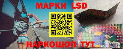 сатива Кингисепп