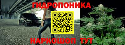 a pvp Кимры