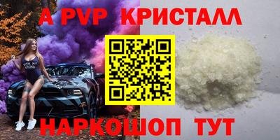 сатива Кингисепп