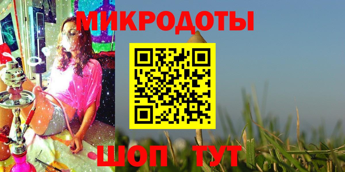 что такое наркотик  Псилоцибиновые грибы Magic Shrooms  Псилоцибиновые грибы Magic Shrooms  Вход с VPN  Заводоуковск 