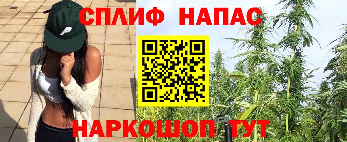 Бошки Шишки марихуана  Бошки Шишки OG Kush  Шишки марихуана Ganja  Вход с VPN  Заводоуковск 